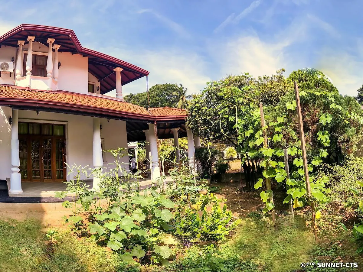 Ceylon Pearlwing Resort نيجومبو
