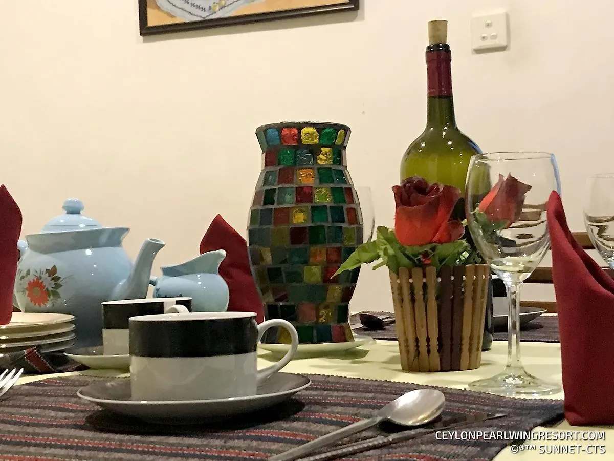 Ceylon Pearlwing Resort نيجومبو