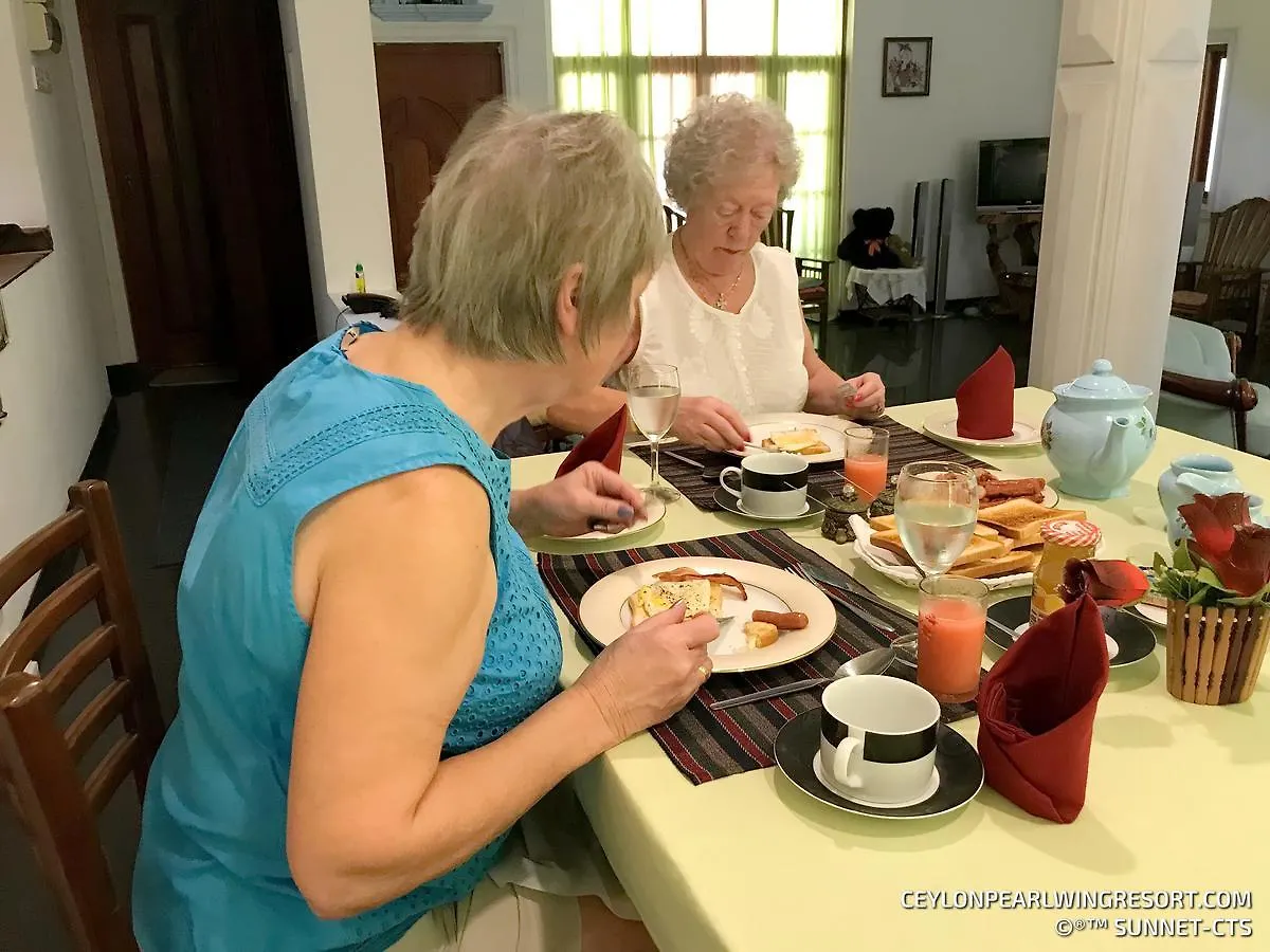 Ceylon Pearlwing Resort نيجومبو