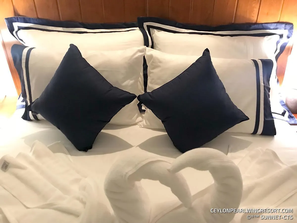 Ceylon Pearlwing Resort نيجومبو