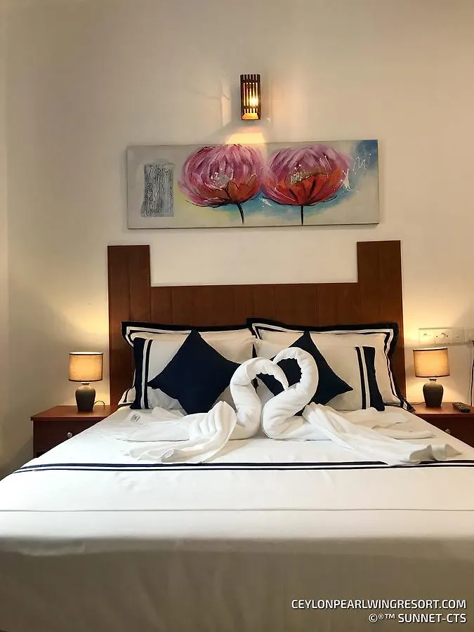 Ceylon Pearlwing Resort نيجومبو سريلانكا
