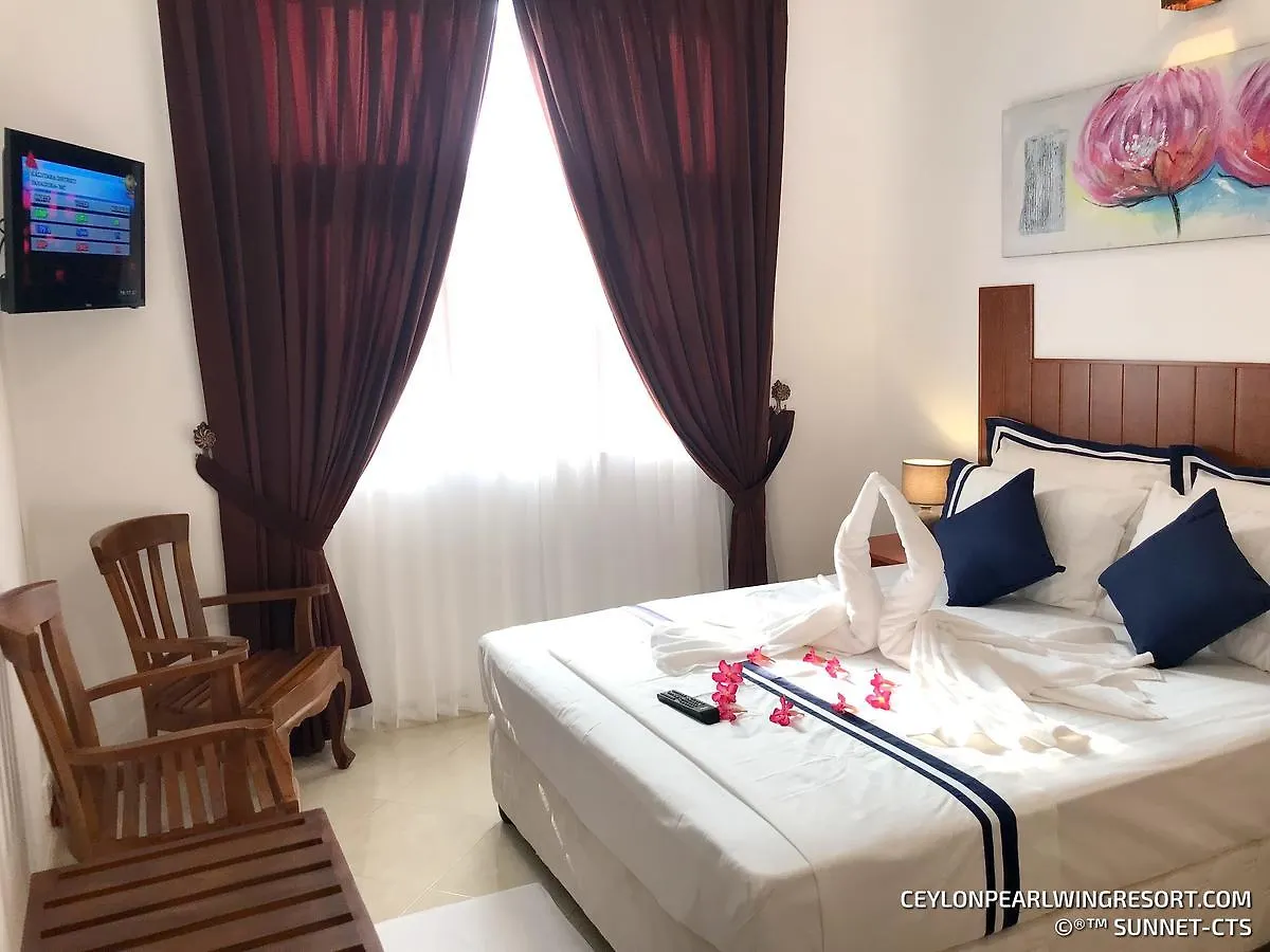 Ceylon Pearlwing Resort نيجومبو سريلانكا