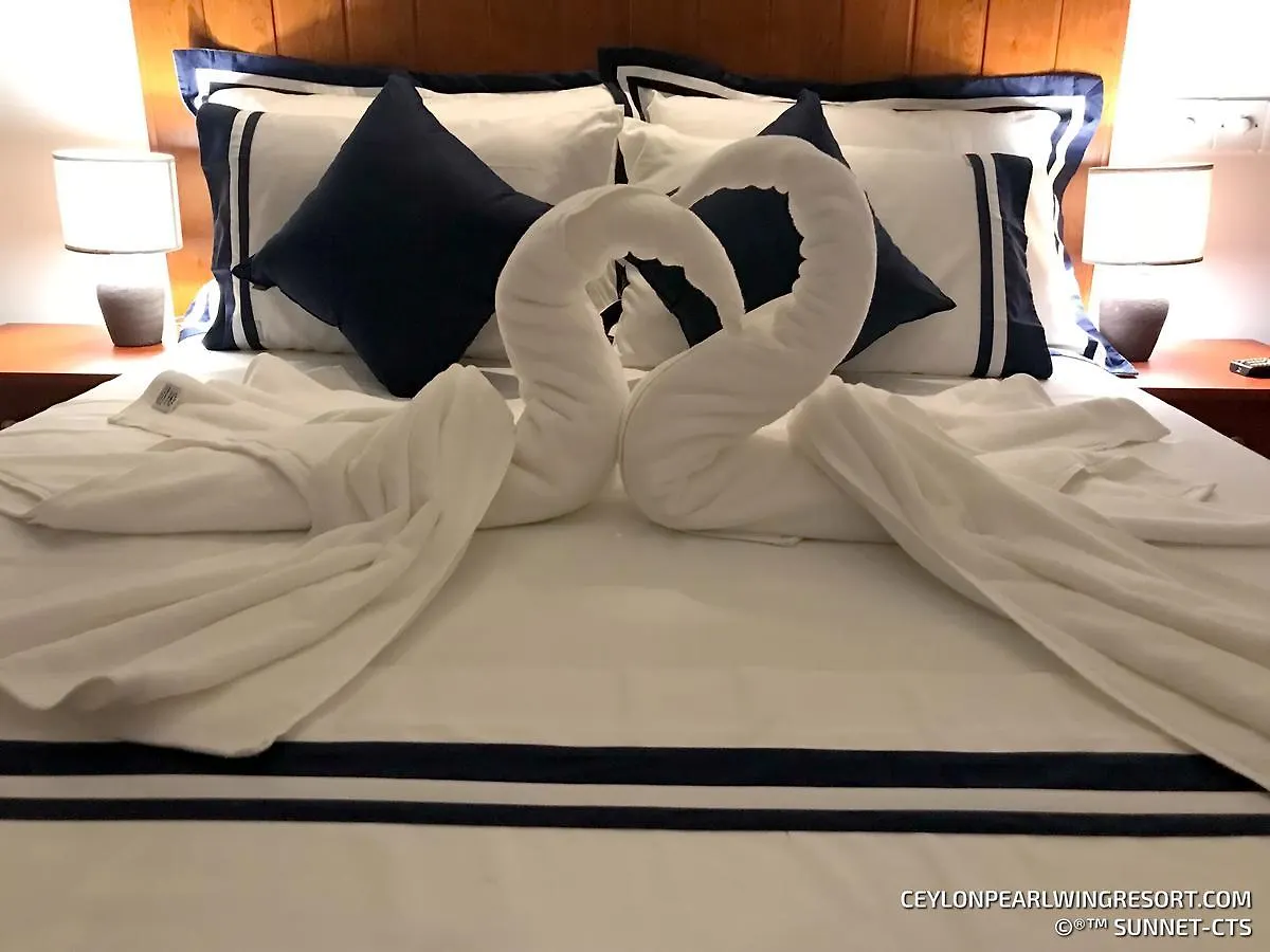 Ceylon Pearlwing Resort نيجومبو